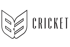 Broadgate Voice & Data B3 cricket badge