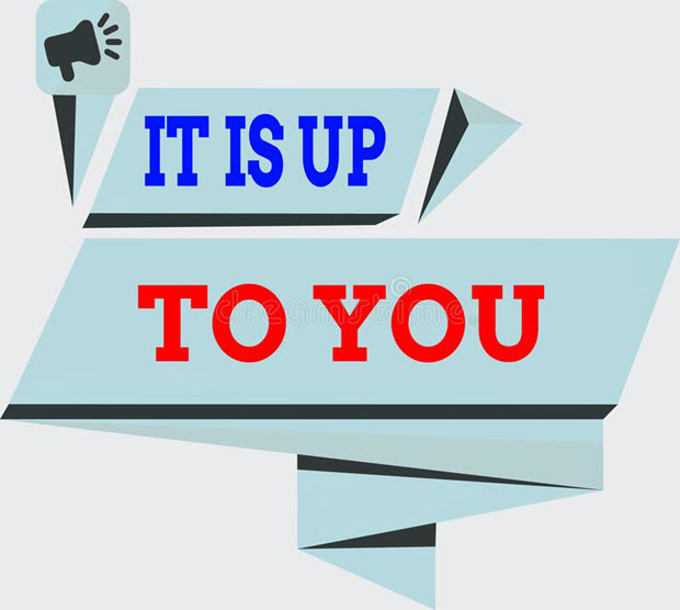 it is up to you icon - your choice